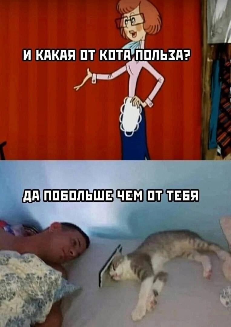 Без комментария