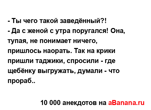 - Ты чего такой заведённый?!...