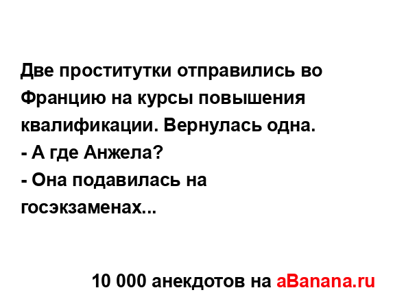 Две проститутки отправились во Францию на курсы...
