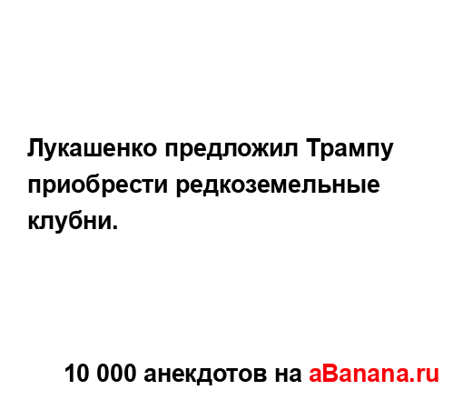 Лукашенко предложил Трампу приобрести редкоземельные...