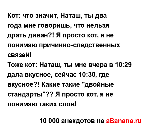 Кот: что значит, Наташ, ты два года мне говоришь, что...