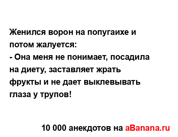 Женился ворон на попугаихе и потом жалуется:...