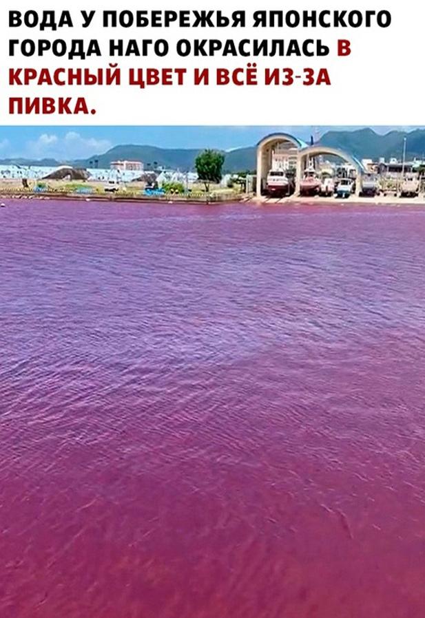 Без комментария