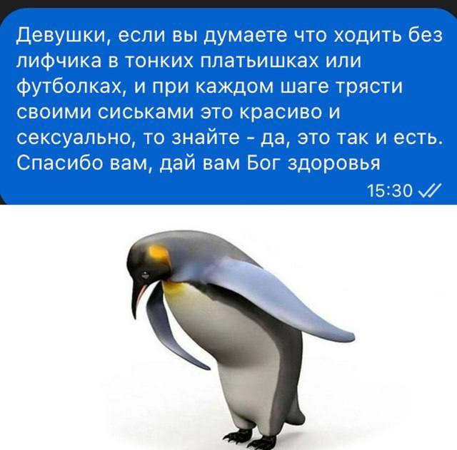 Без комментария