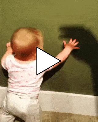 Без комментария