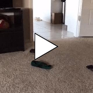 Без комментария