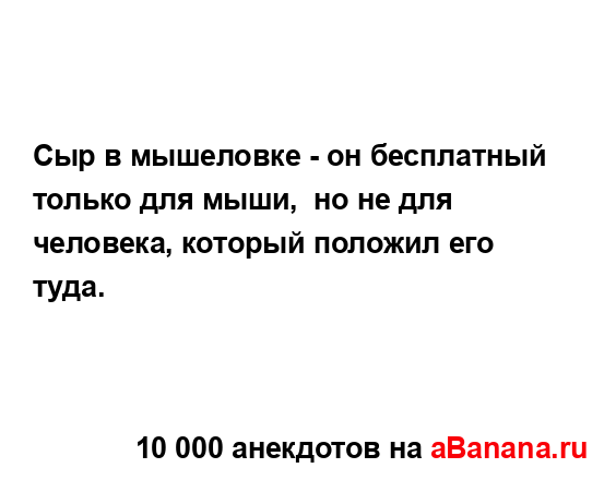 Сыр в мышеловке - он бесплатный только для мыши,  но не...