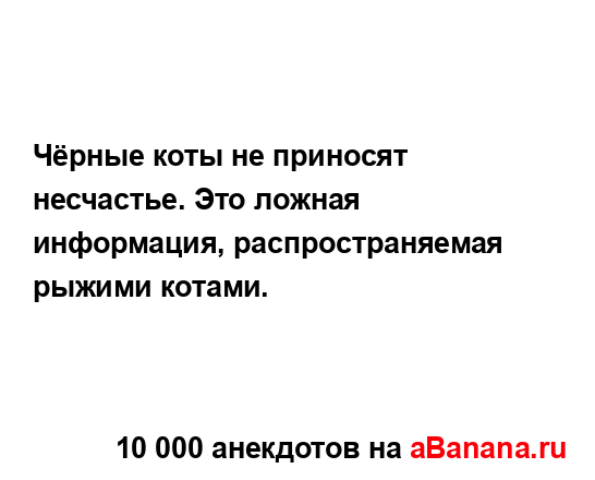 Чёрные коты не приносят несчастье. Это ложная...