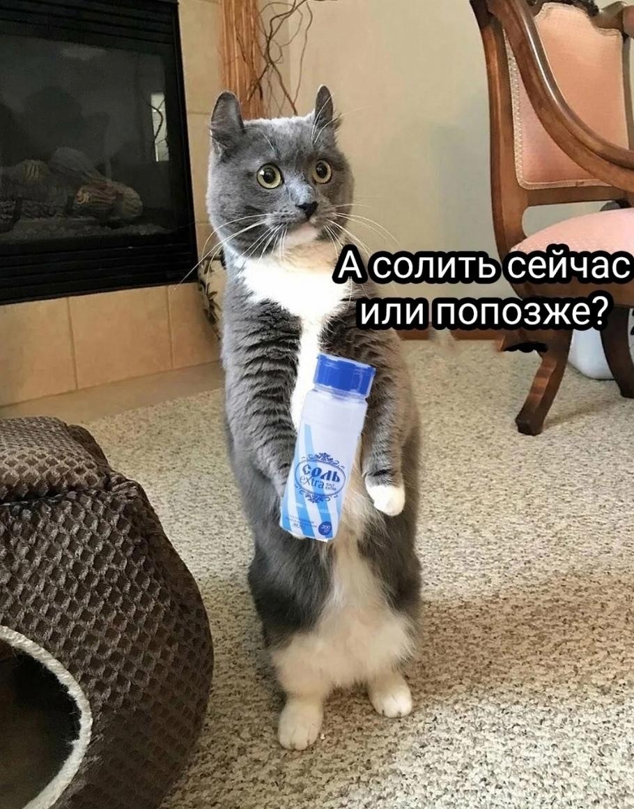 Когда съехал от родителей