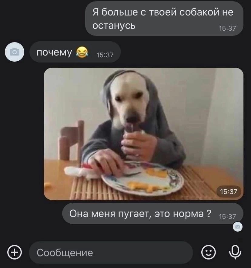 Без комментария