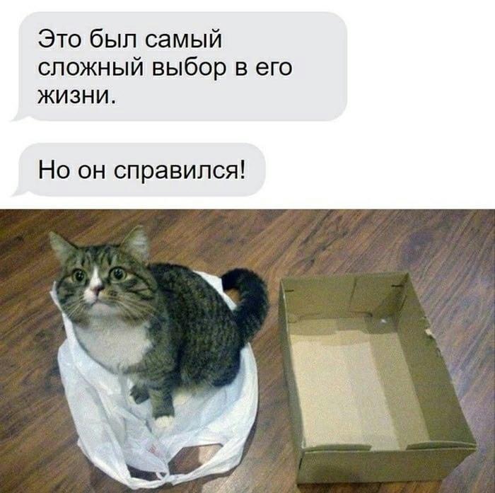 Без комментария