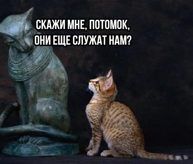 Все идет по плану