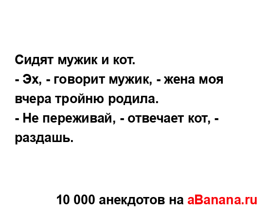 Сидят мужик и кот. ...