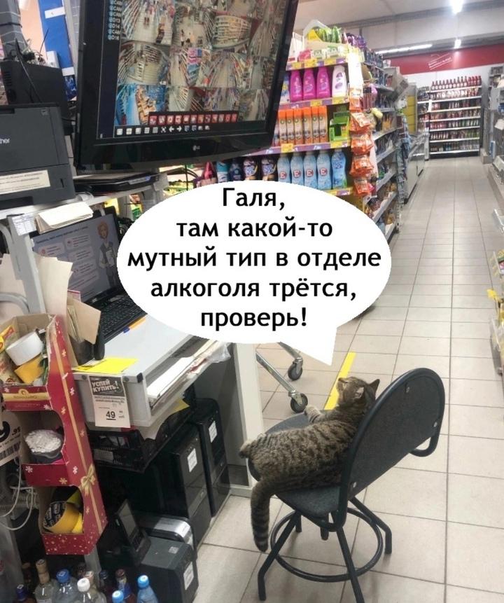 Они всегда кого-то подозревают просто так