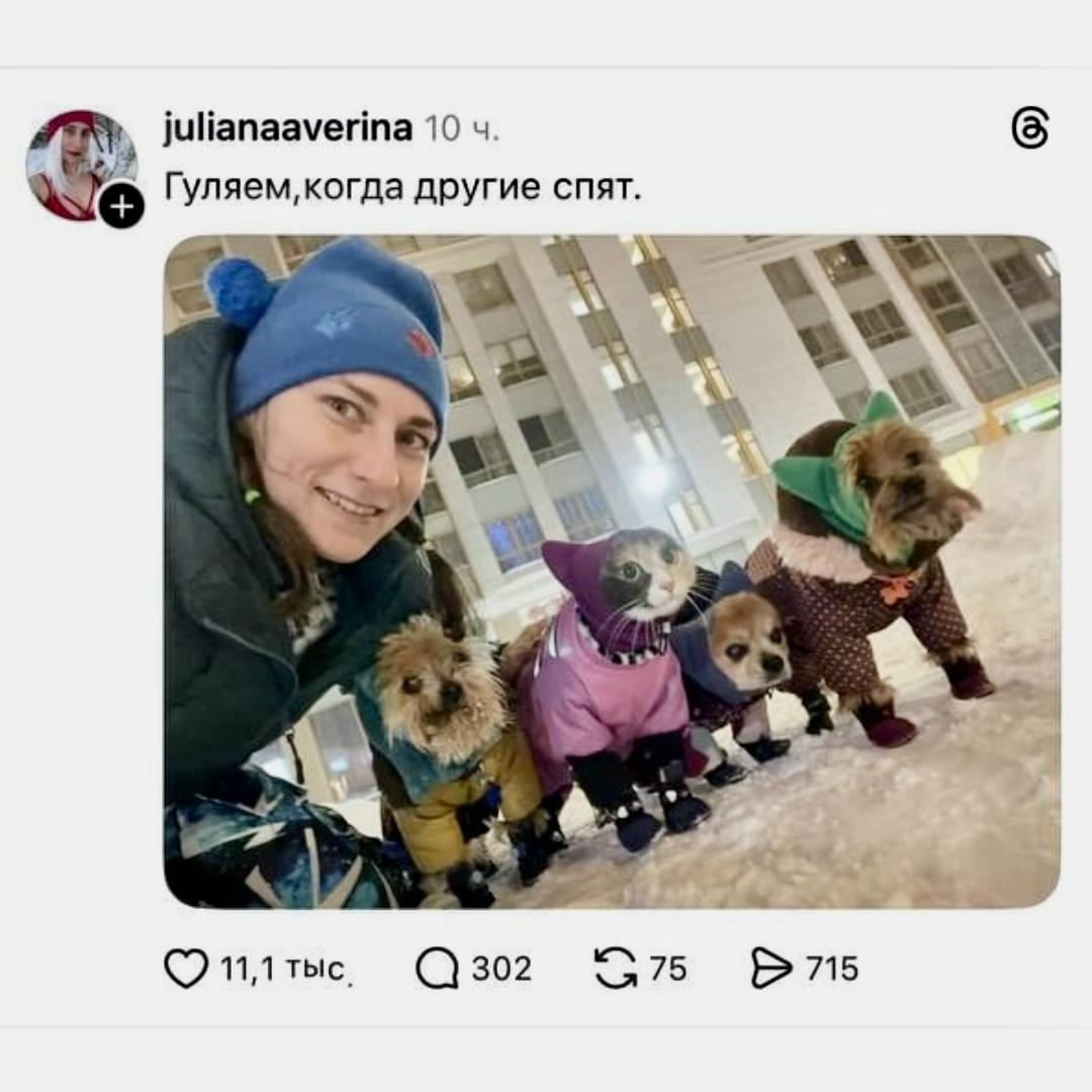 Шпионы вышли на миссию