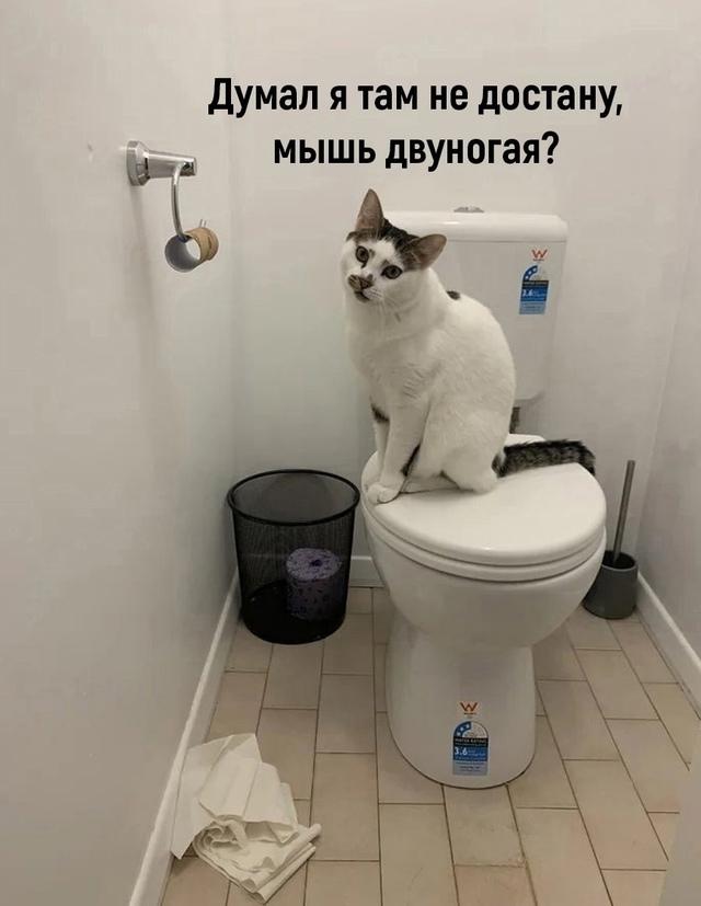 Звучит как угроза