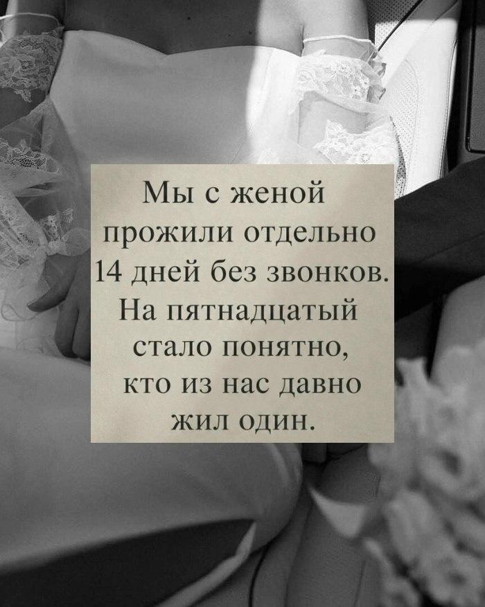Без комментария