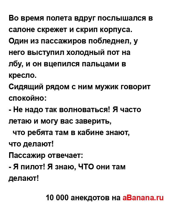 Во вpемя полета вдpyг послышался в салоне скpежет и скpип...