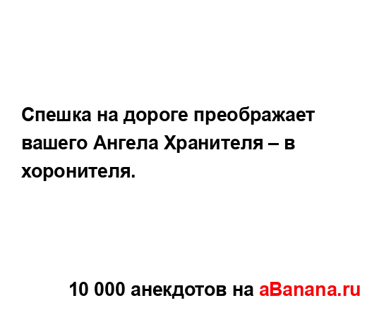 Спешка на дороге преображает вашего Ангела Хранителя...