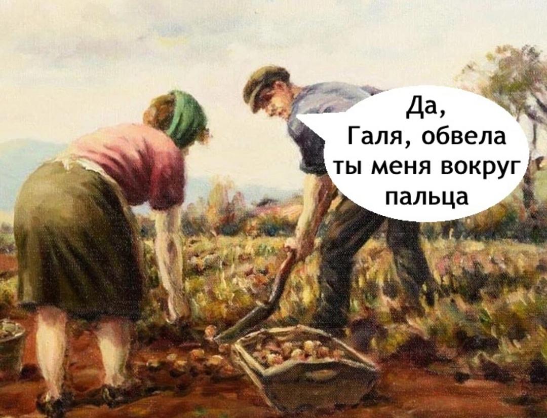 Дачный сезон открыт