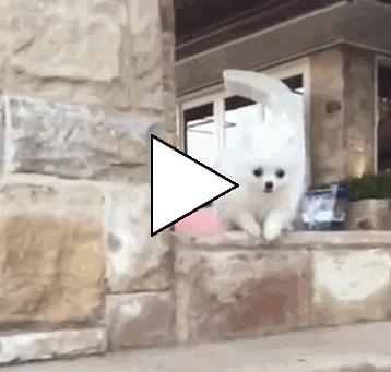 Без комментария