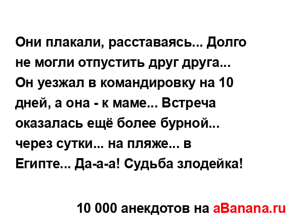 Они плакали, расставаясь... Долго не могли отпустить...