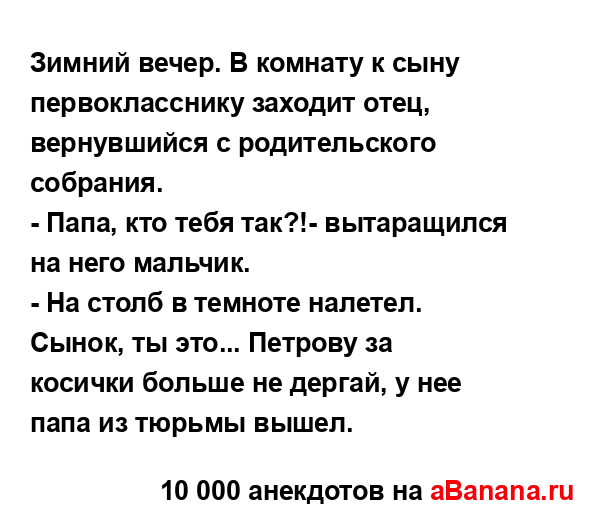 Зимний вечер. В комнату к сыну первокласснику заходит...