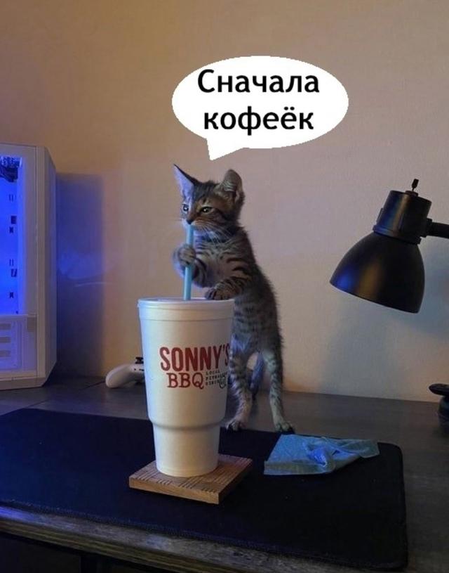 Инструкция как надо начинать утро