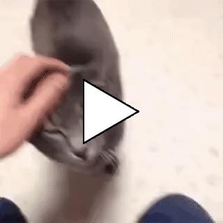 Без комментария