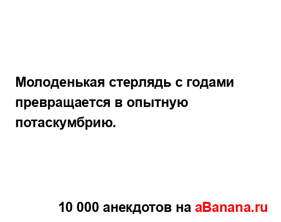 Молоденькая стерлядь с годами превращается в опытную...