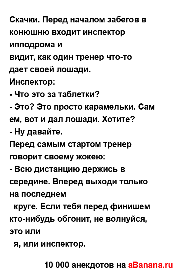 Скачки. Перед началом забегов в конюшню входит...