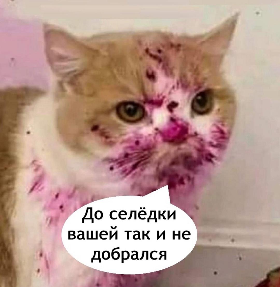 Зато бюджетненько получилось