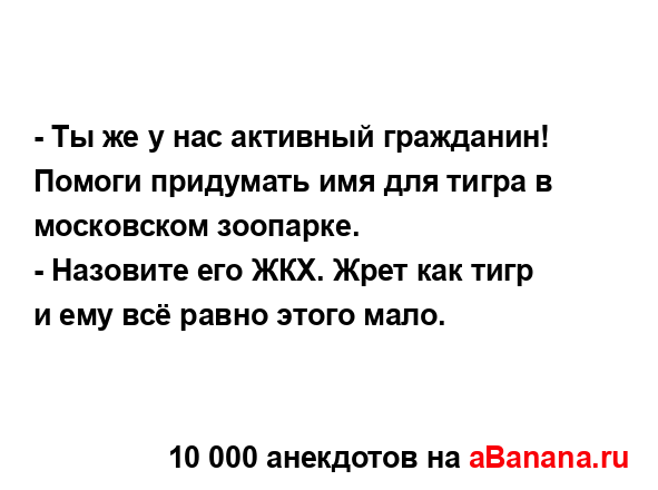 - Ты же у нас активный гражданин! Помоги придумать имя...