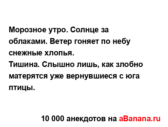 Морозное утро. Солнце за облаками. Ветер гоняет по небу...