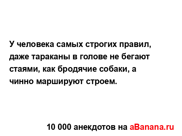 У человека самых строгих правил, даже тараканы в...