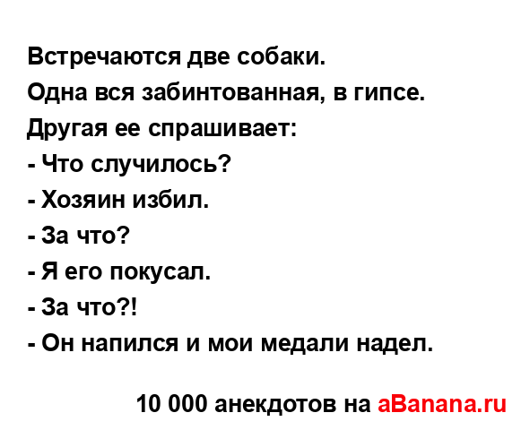 Встречаются две собаки....