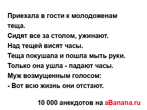 Приехала в гости к молодоженам теща....