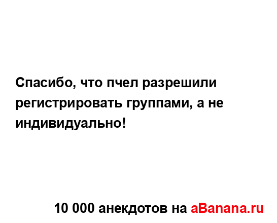 Спасибо, что пчел разрешили регистрировать группами, а...