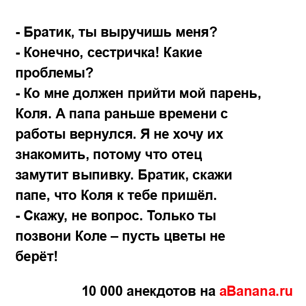 - Братик, ты выручишь меня?...