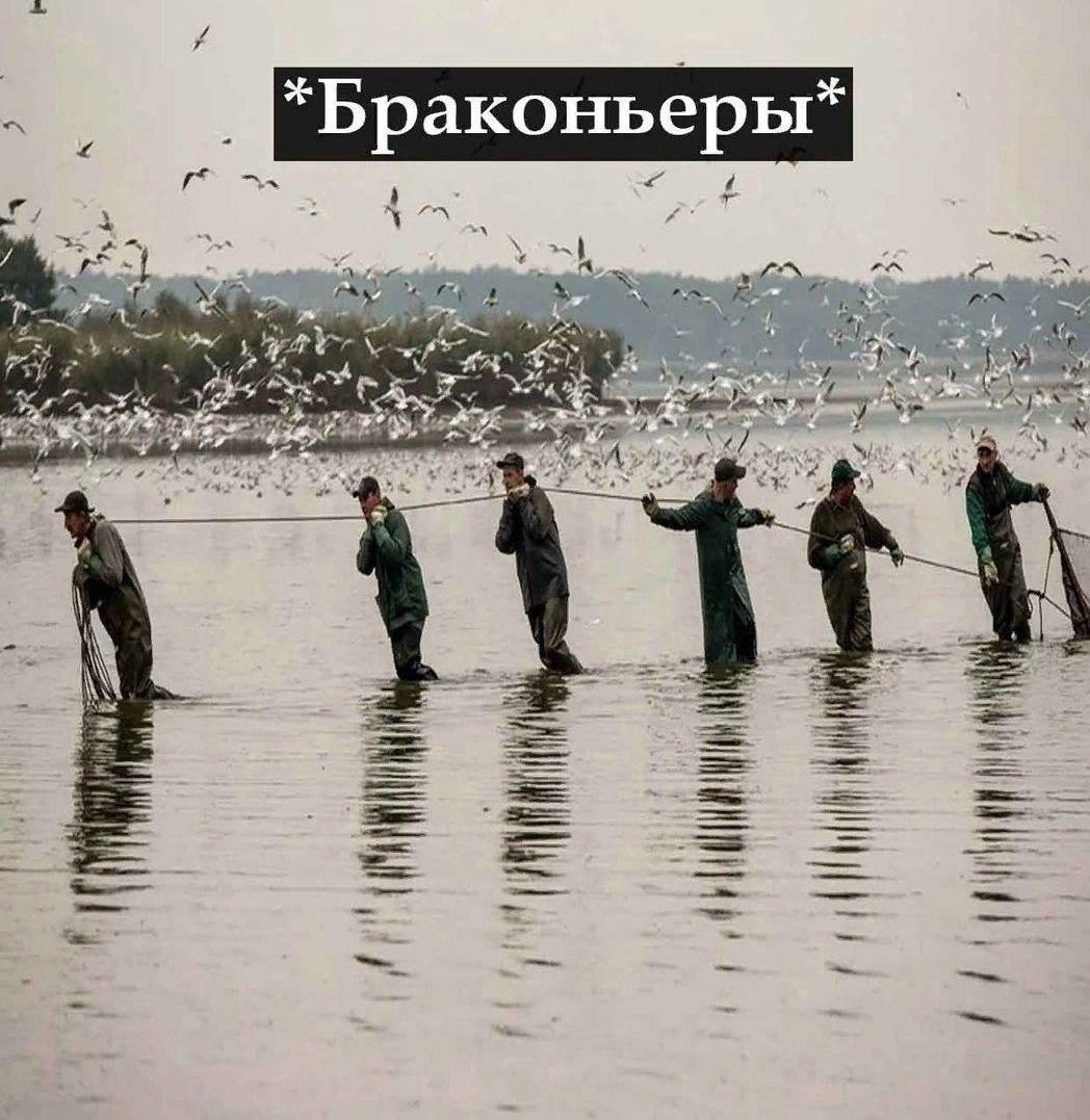 Немного цыганских шуток