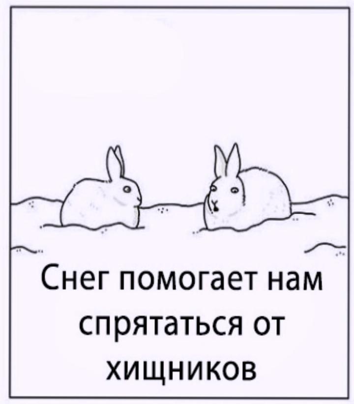 Ответ, который мы никогда не узнаем