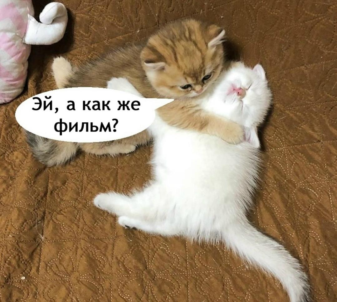 Да какой фильм, выспаться бы