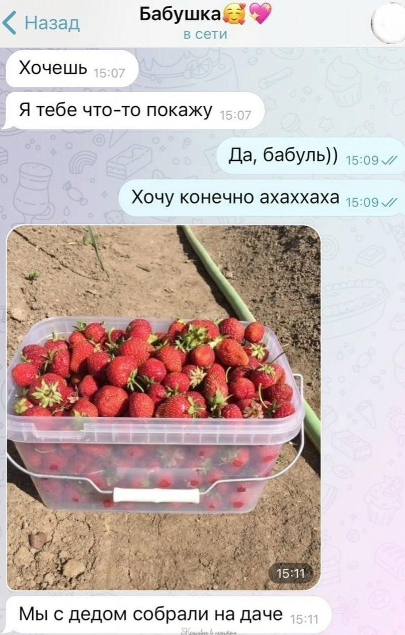 коты это самое ценное, что есть у наших бабушек
