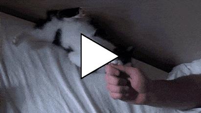 Без комментария