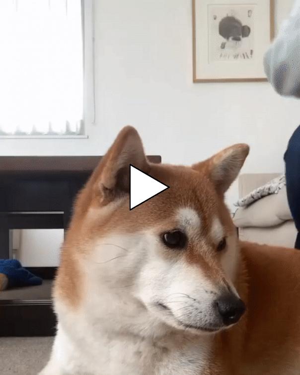 Без комментария