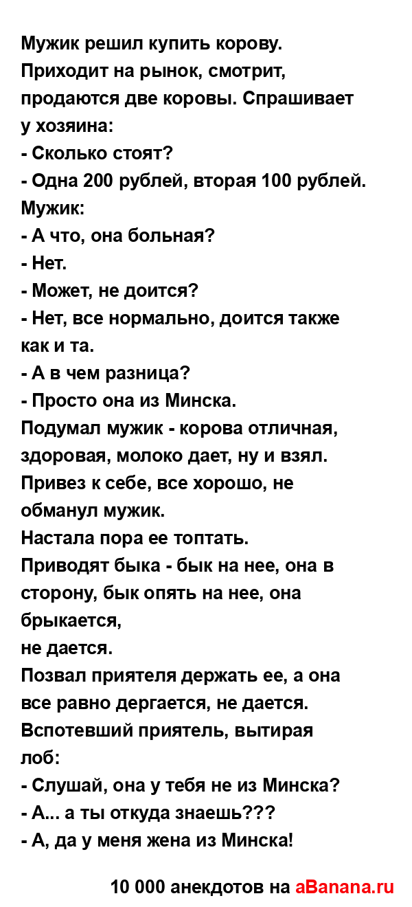 Мужик решил купить корову....