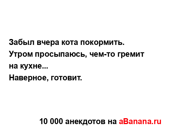 Забыл вчера кота покормить. Утром просыпаюсь, чем-то...