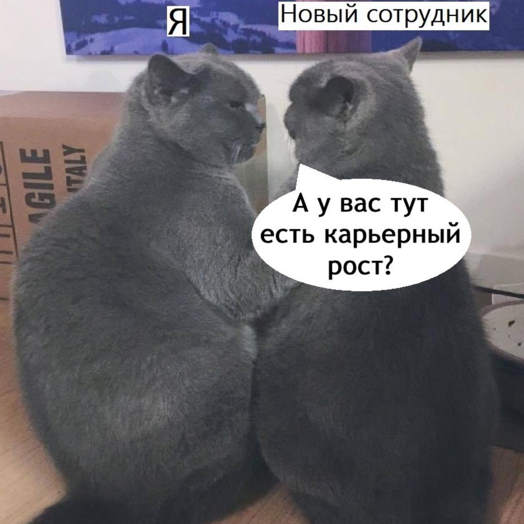 Ну это у нас любят