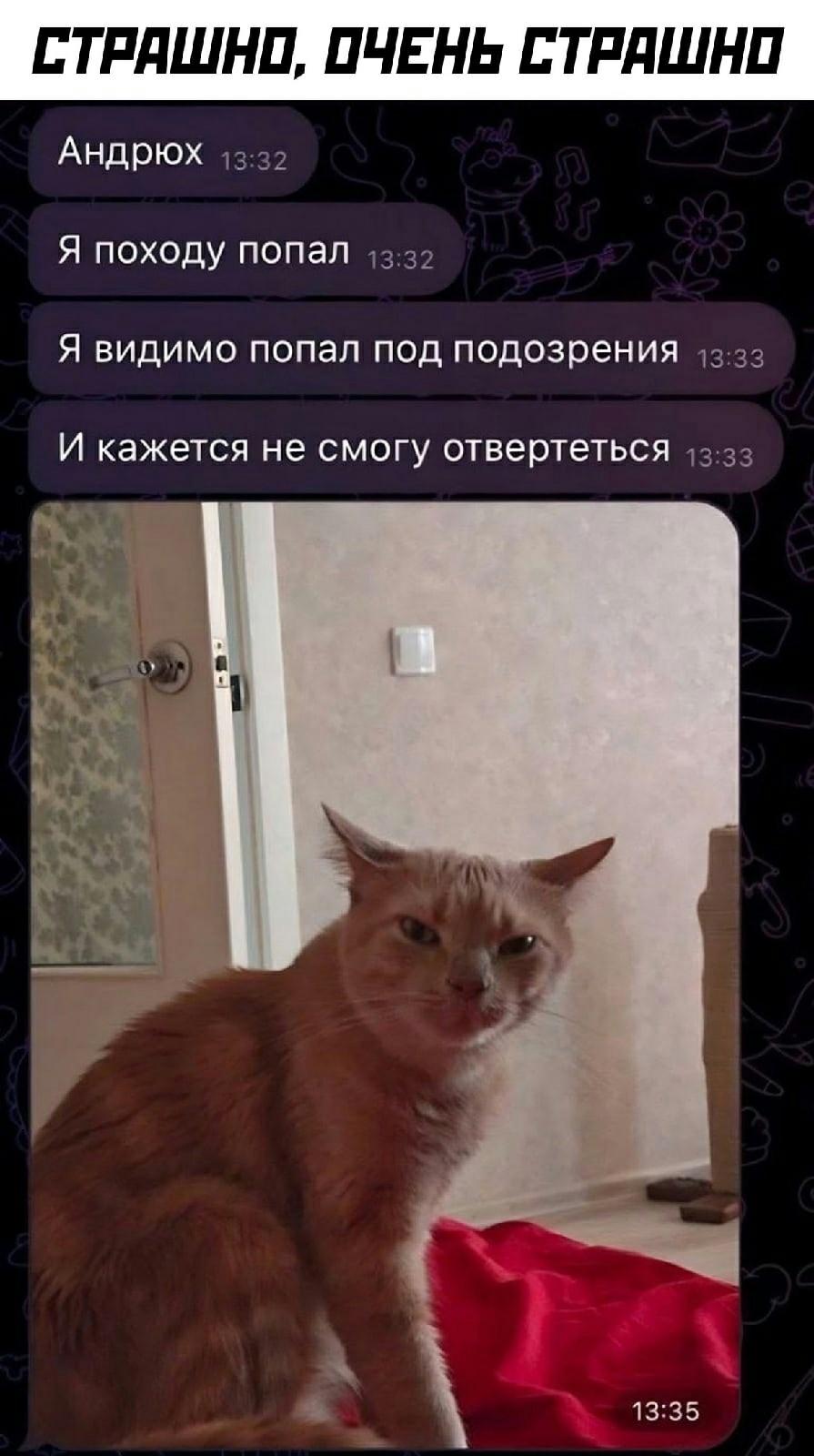 Без комментария