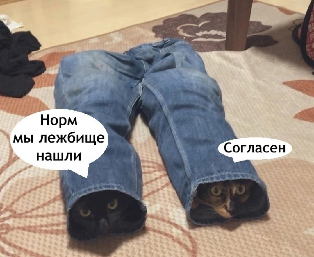 С такими опасно иметь дело